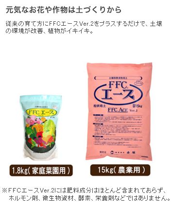 ＦＦＣ　エース